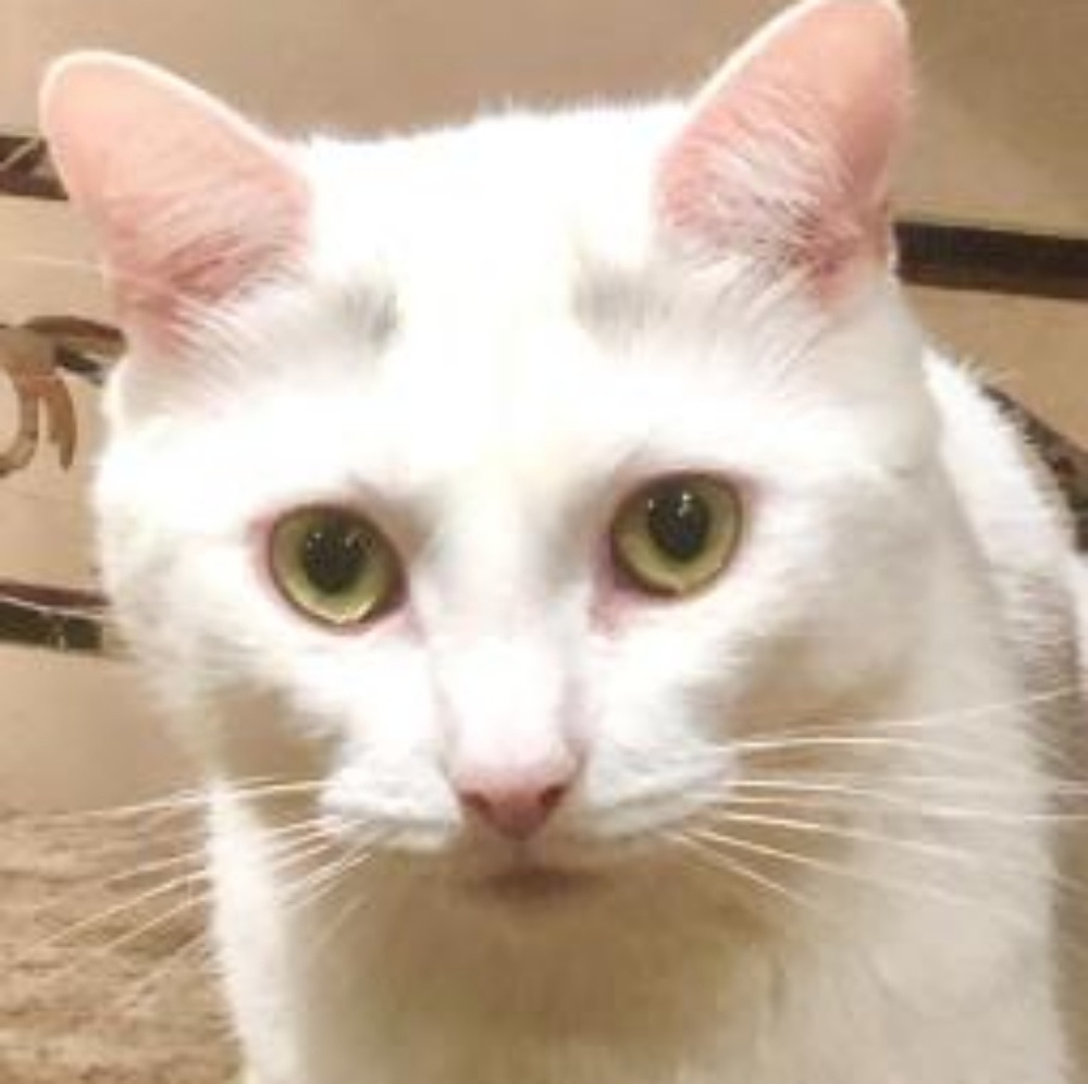 Meet your Posher, Marina